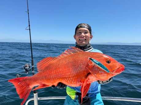 Fishing in Puerto Vallarta, Mexico