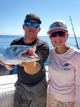 Barracuda fishing in Clearwater, Florida