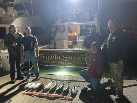 Blackfin Tuna, Red Snapper Fishing in Freeport, Texas