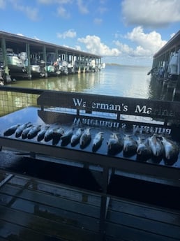 Fishing in Galveston, Texas