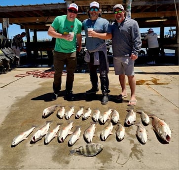 Redfish, Sheepshead Fishing in Boothville-Venice, Louisiana