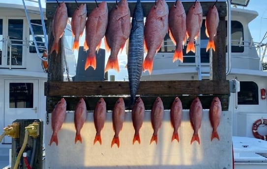 Red Snapper, Wahoo fishing in Destin, Florida