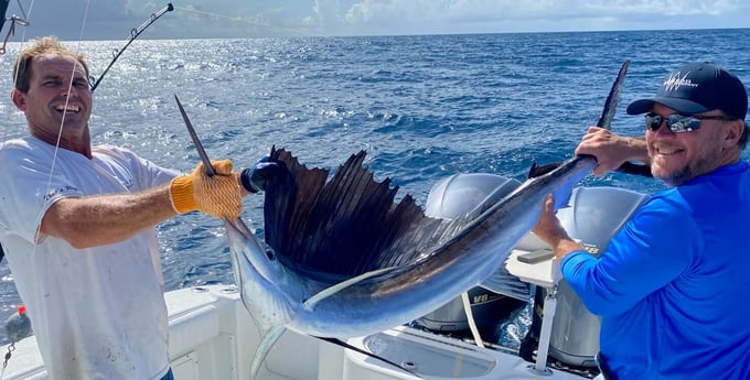 Sailfish fishing in Port Orange, Florida