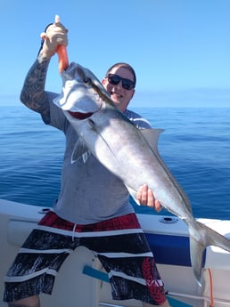 Red Snapper fishing in Clearwater, Florida