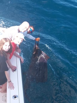 Sailfish Fishing in Rockport, Texas