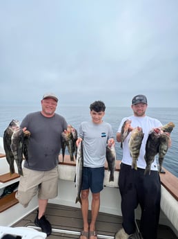 Fishing in Los Angeles, California