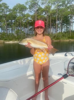 Redfish Fishing in Destin, Florida