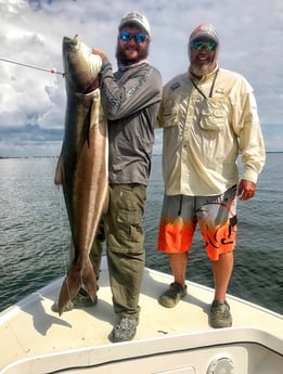 Cobia Fishing in Marathon, Florida