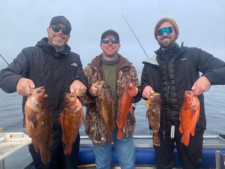 Rockfish Fishing in Oxnard, California