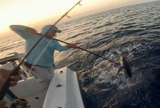 Blackfin Tuna Fishing in Key West, Florida