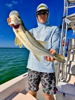 Fishing in Sarasota, Florida