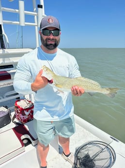 Speckled Trout Fishing in South Padre Island, Texas