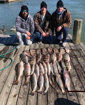 Redfish, Sheepshead, Speckled Trout / Spotted Seatrout fishing in Port O&#039;Connor, Texas