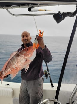 Red Snapper Fishing in Wrightsville Beach, North Carolina