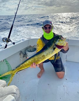 Black Grouper fishing in Marathon, Florida