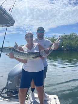 Sheepshead fishing in Key Largo, Florida