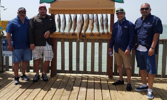 Redfish, Speckled Trout / Spotted Seatrout fishing in Port Isabel, Texas