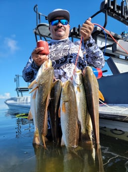 Redfish, Speckled Trout / Spotted Seatrout Fishing in Rio Hondo, Texas