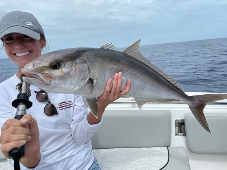 Amberjack fishing in St. Augustine, Florida