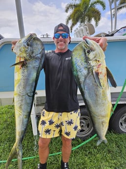 Mahi Mahi Fishing in Fort Lauderdale, Florida