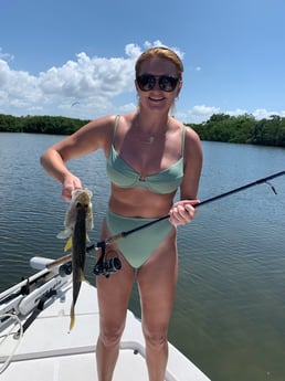 Redfish fishing in Clearwater, Florida