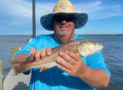 Redfish fishing in Santa Rosa Beach, Florida