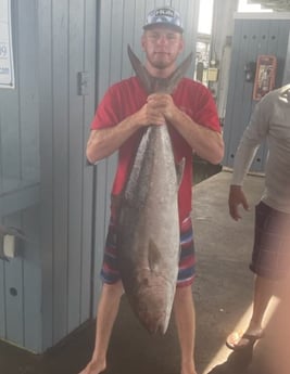 Amberjack fishing in Galveston, Texas