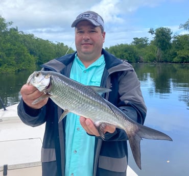 Tarpon Fishing in Carolina, Carolina