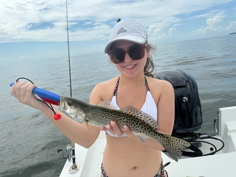 Fishing in St. Petersburg, Florida