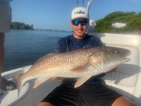 Redfish fishing in Sarasota, Florida