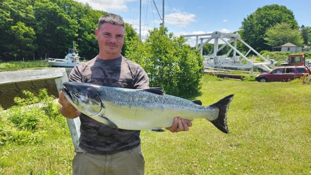 Chinook Salmon Fishing in Verona Beach, New York