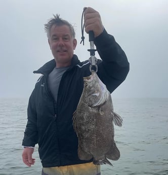 Tripletail Fishing in Sarasota, Florida