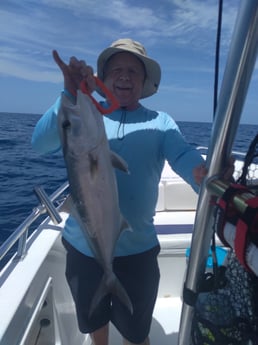 Amberjack fishing in Clearwater, Florida