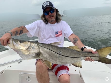 Snook fishing in Sarasota, Florida