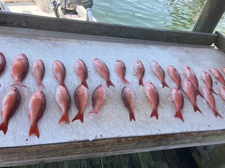 Fishing in Pensacola Beach, Florida