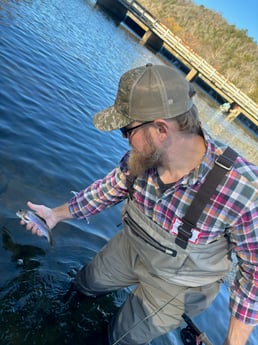 Rainbow Trout Fishing in Broken Bow, Oklahoma