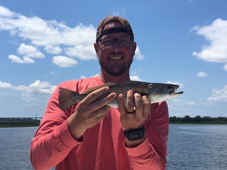 Speckled Trout / Spotted Seatrout fishing in Charleston, South Carolina