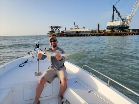 Snook fishing in Titusville, Florida