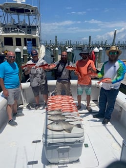 Fishing in Gulf Shores, Alabama