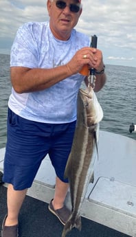 Cobia fishing in Port O&#039;Connor, Texas