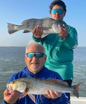 Black Drum, Redfish fishing in Port Isabel, Texas