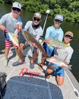 Jack Crevalle, Redfish fishing in Holmes Beach, Florida