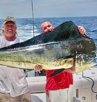 Mahi Mahi Fishing in Marathon, Florida