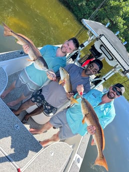 Redfish fishing in Holmes Beach, Florida