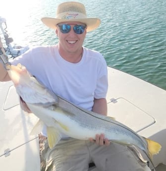 Snook Fishing in Sarasota, Florida