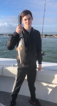 Redfish Fishing in Galveston, Texas