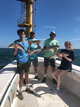 Blacktip Shark, Redfish fishing in Galveston, Texas