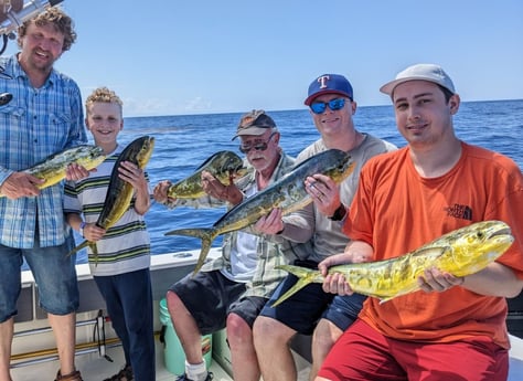 Mahi Mahi Fishing in Islamorada, Florida