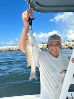 Mangrove Snapper Fishing in Panama City, Florida