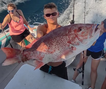 Mahi Mahi / Dorado, Red Snapper fishing in Pensacola, Florida